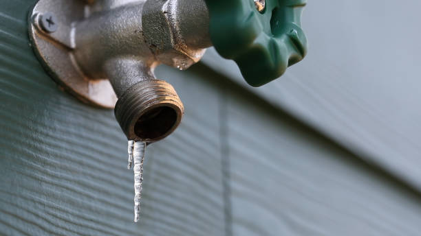 Best Local Plumber Services  in Watertown, TN